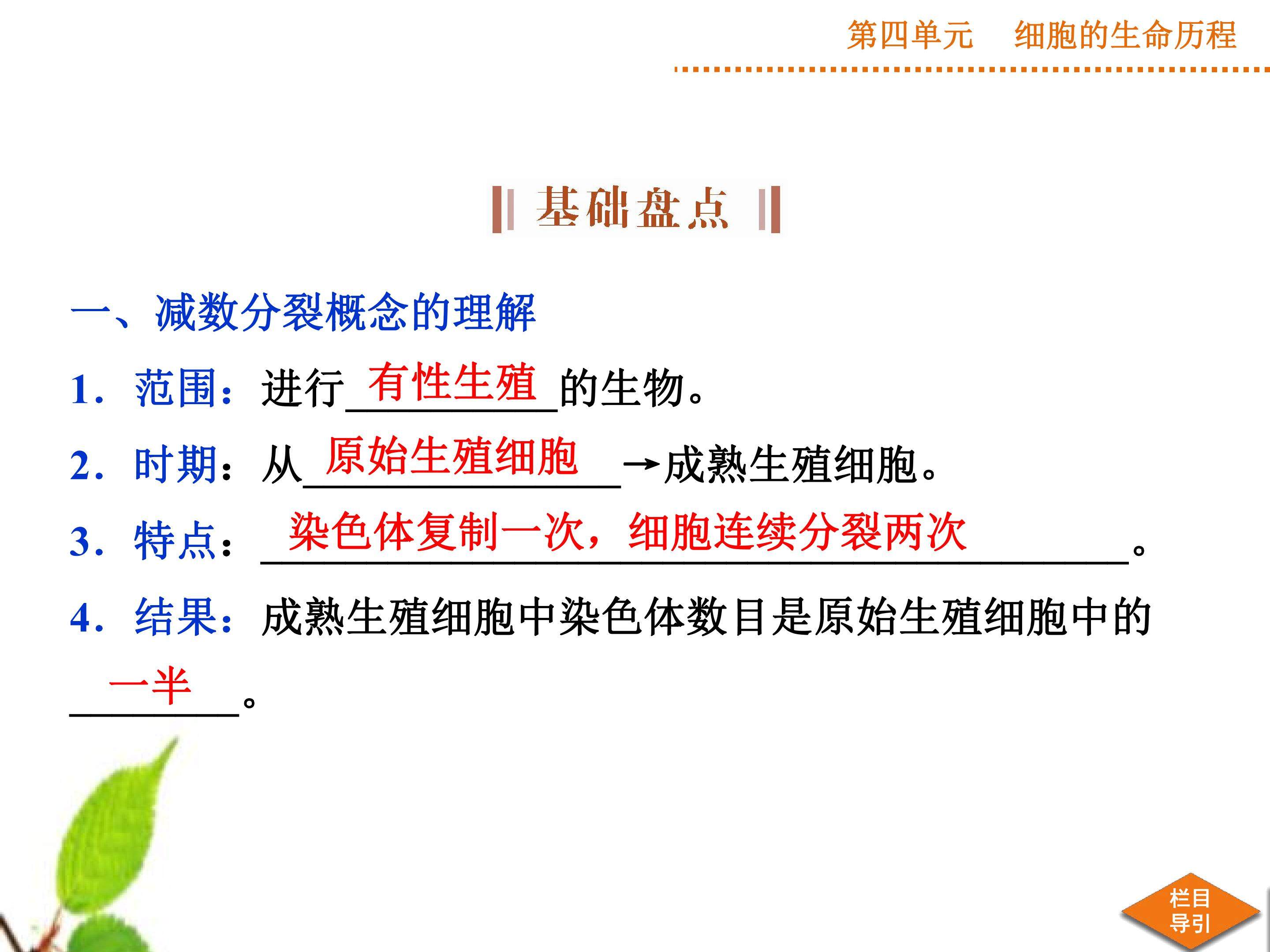 减数分裂和受精作用
