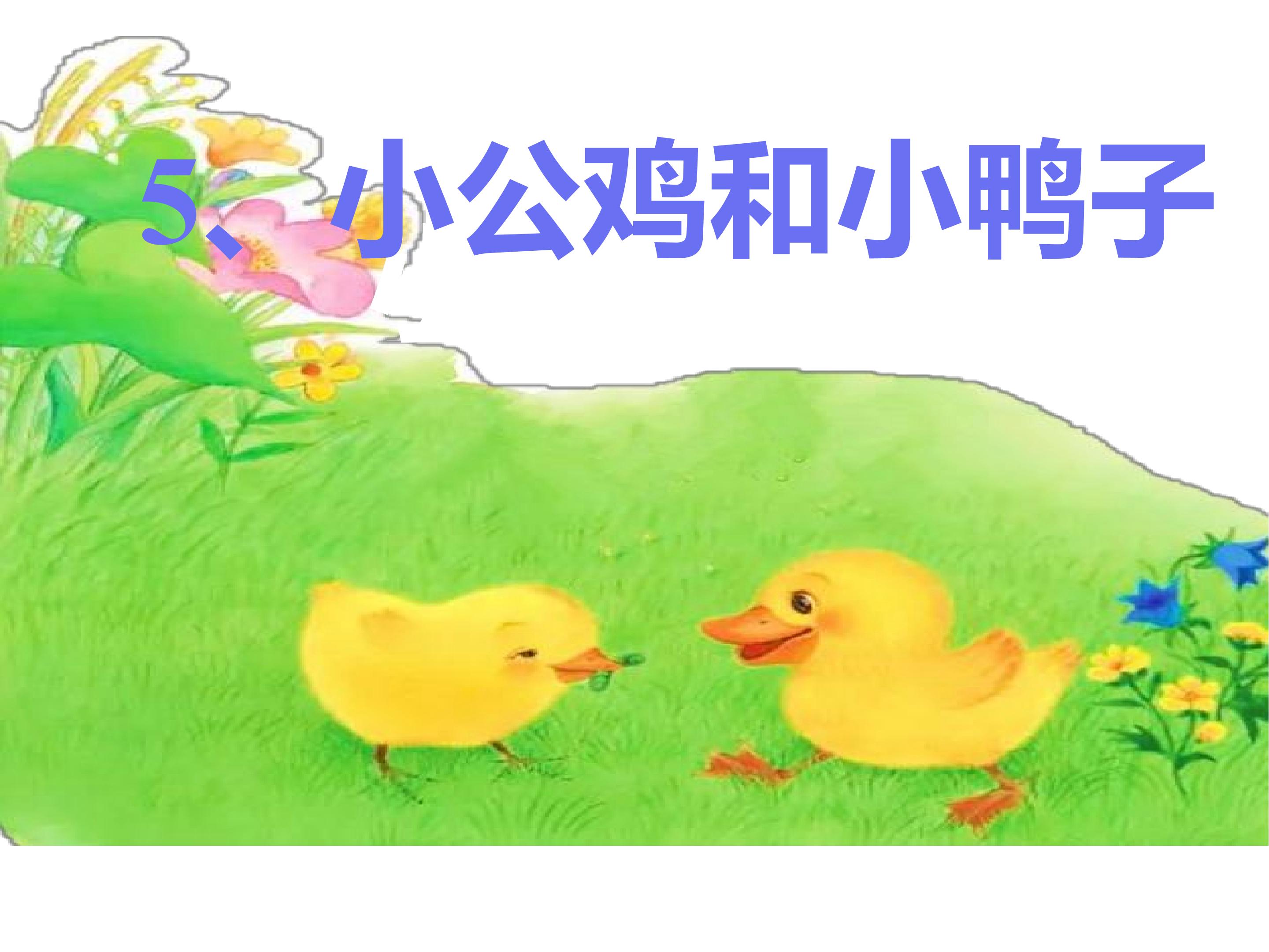 小公鸡和小鸭子