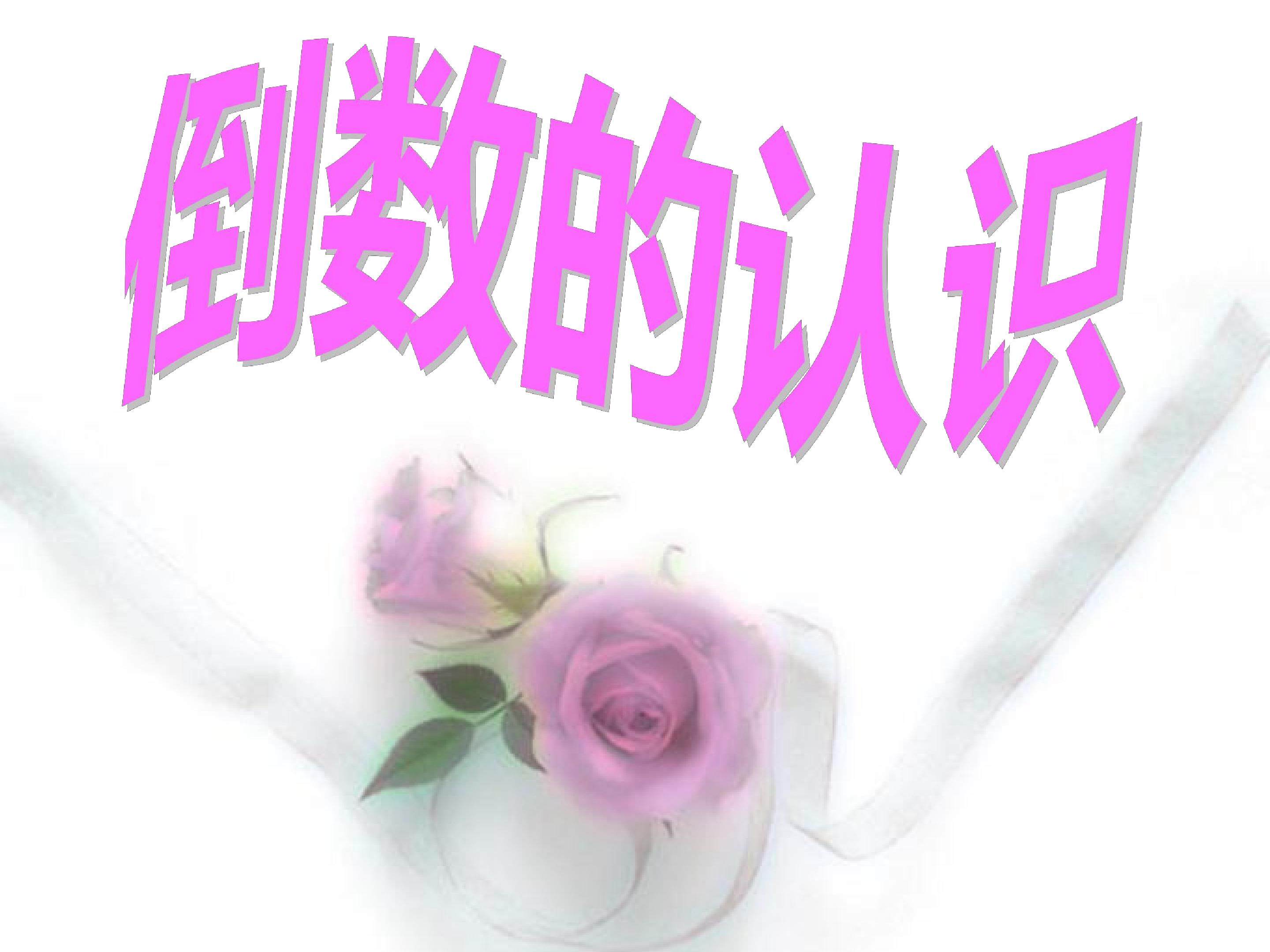 倒数的认识