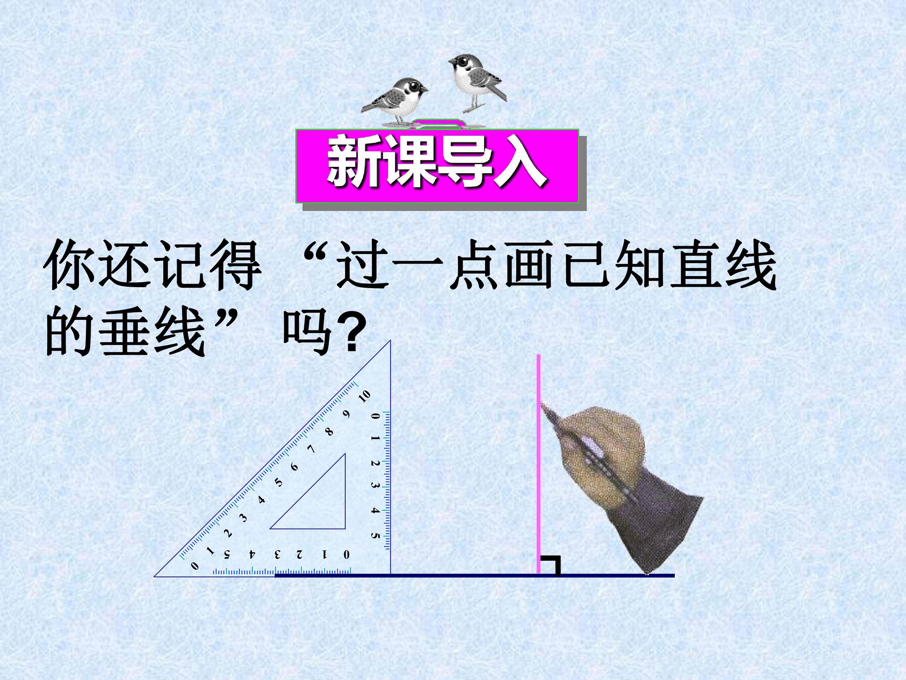11.1.2三角形的高、中线与角平分线