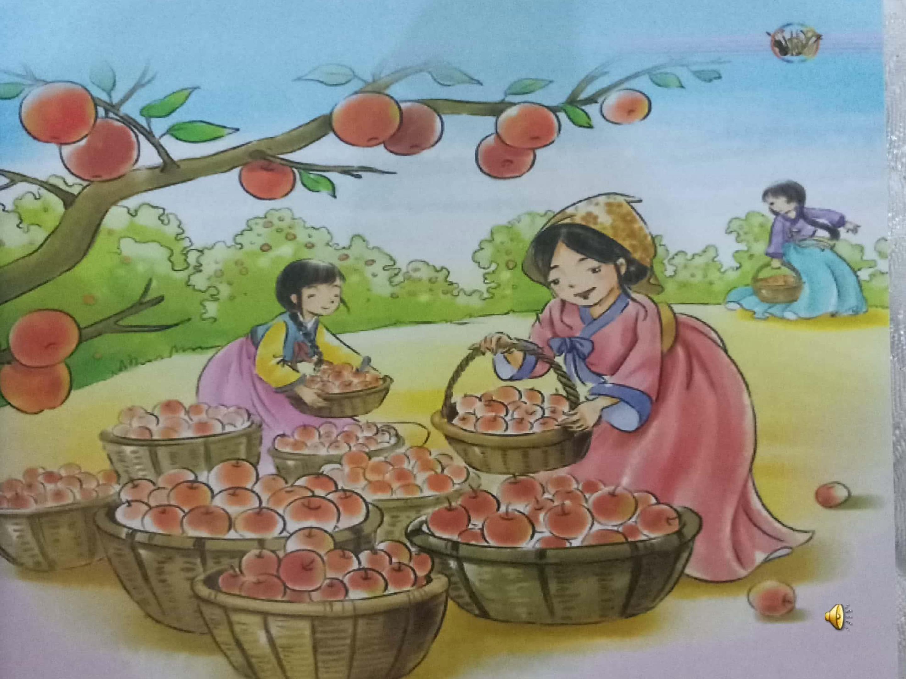 苹果丰收