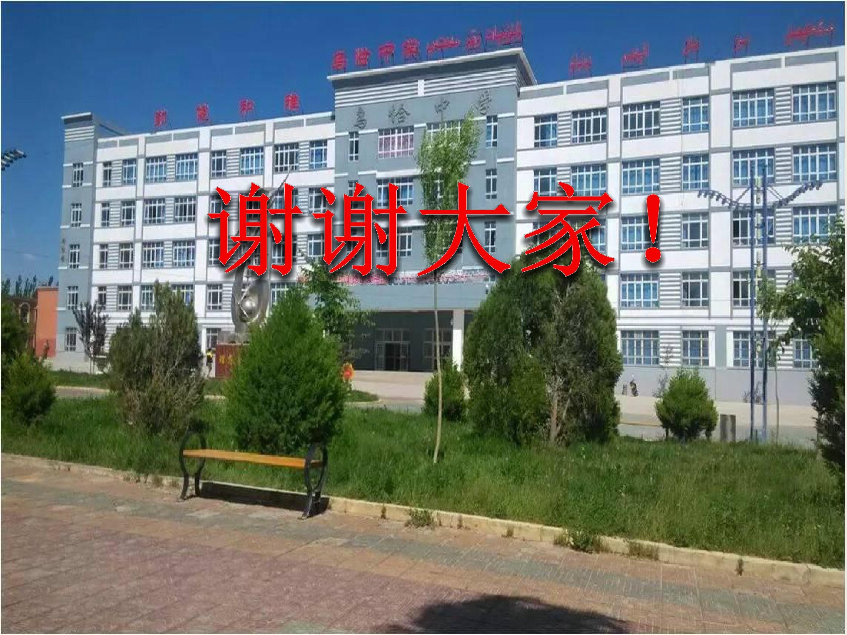14.jpg