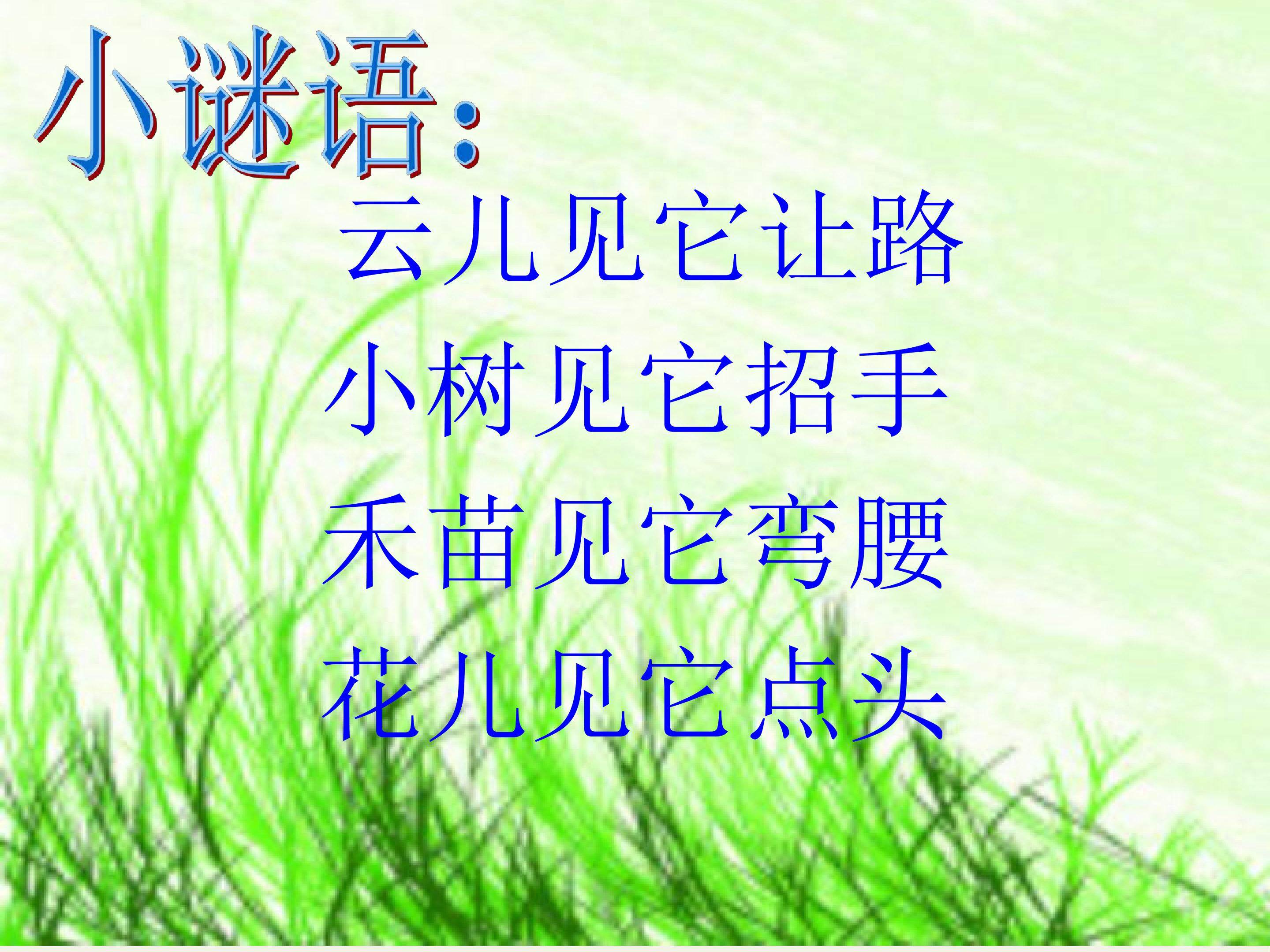 风来了