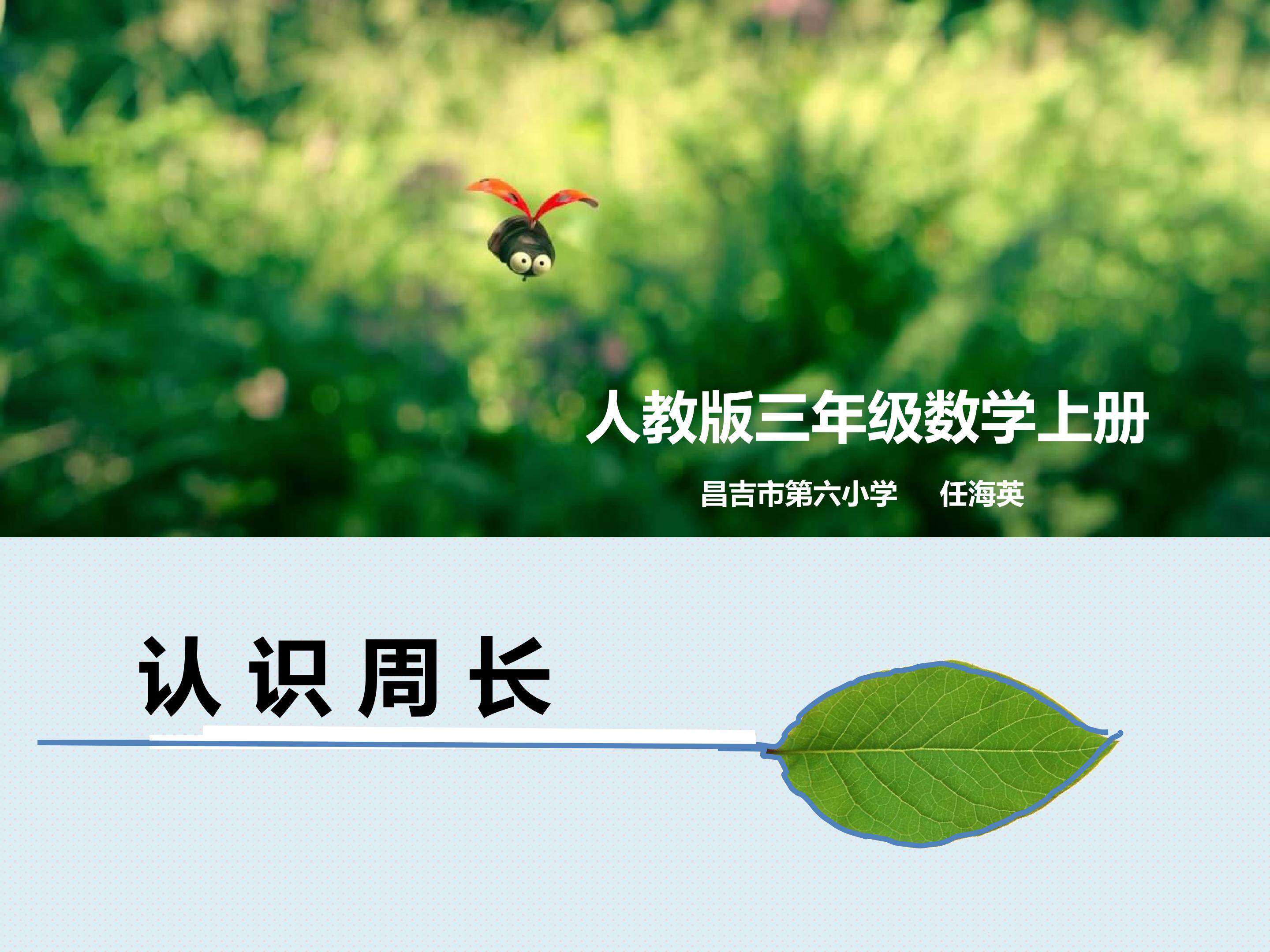 认识周长