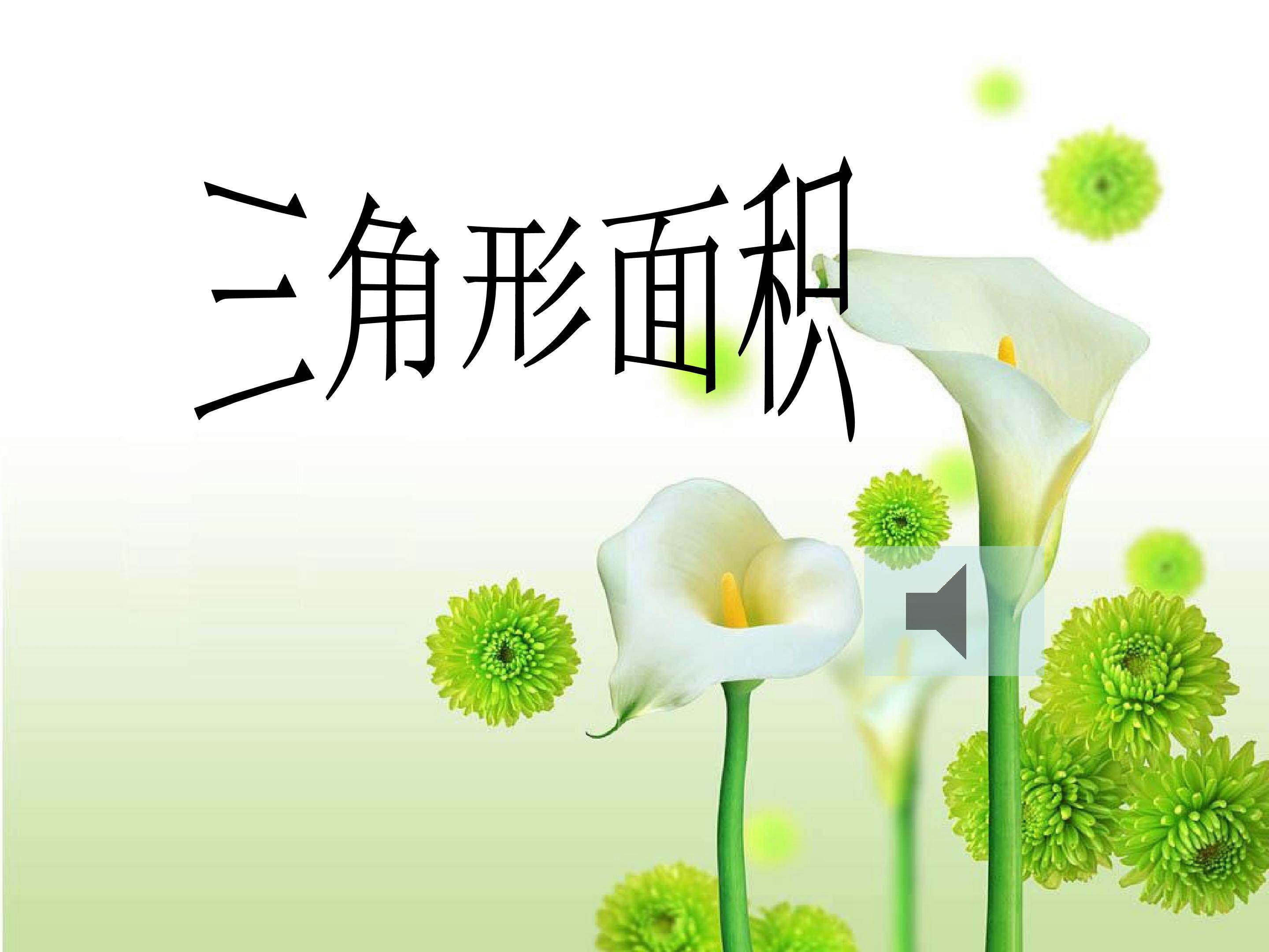 三角形的面积