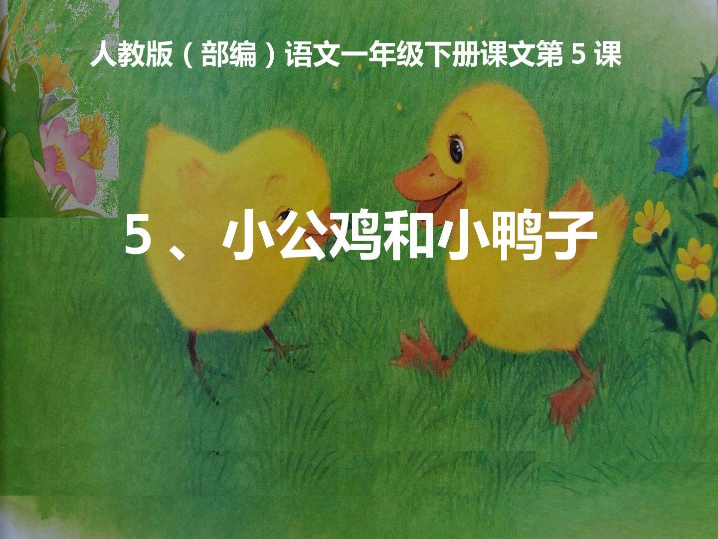 5《小公鸡和小鸭子》