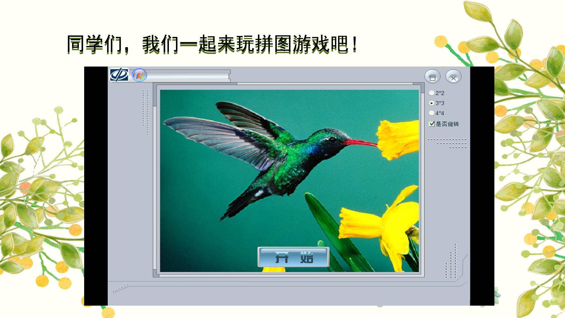 《我喜欢的鸟》