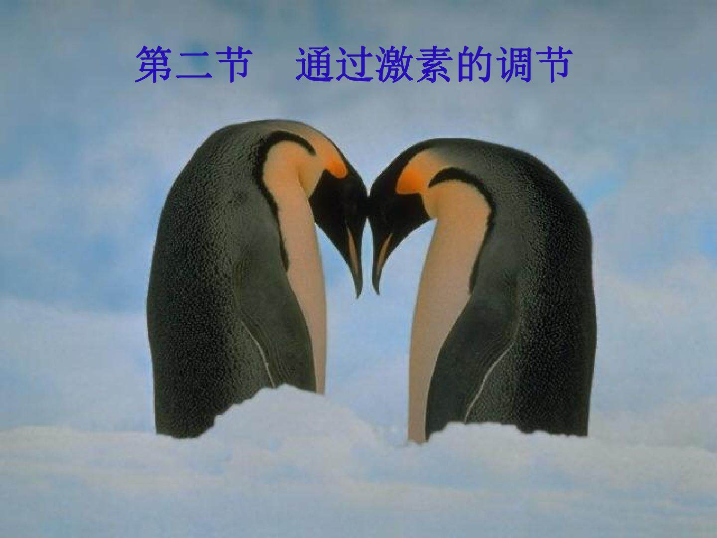 通过激素的调节