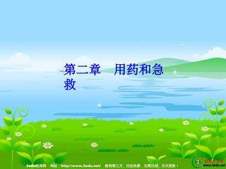 八年级生物用药和急救