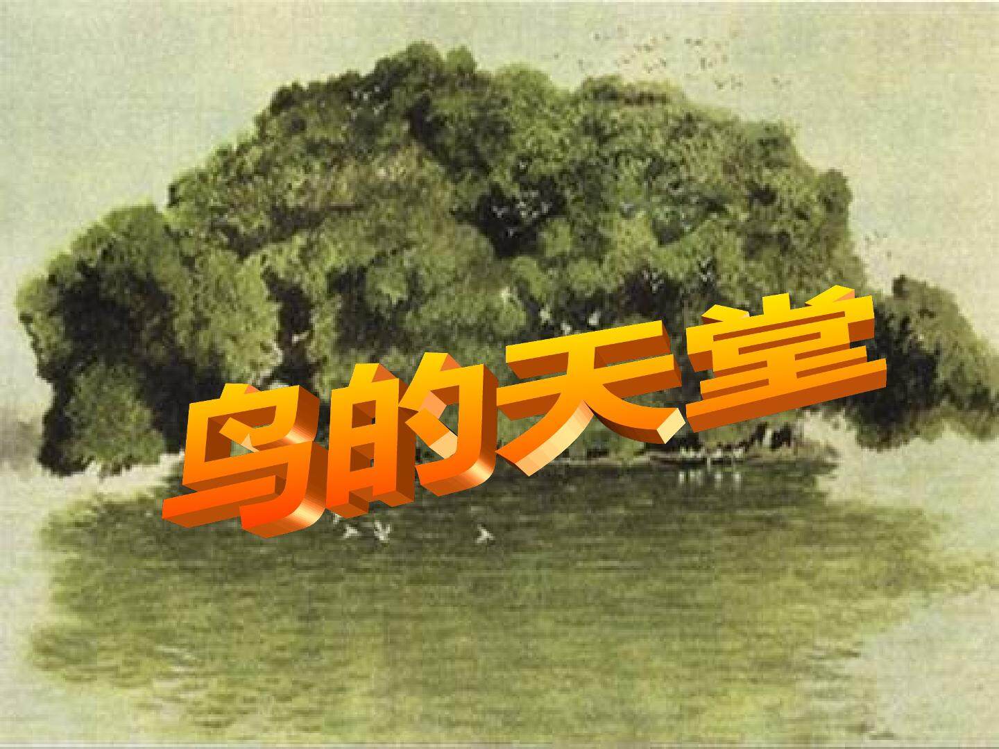 鸟的天堂