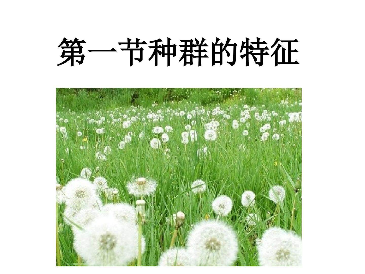 种群的特征