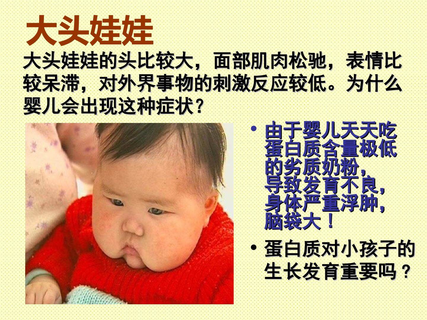 《生命活动的主要承担着---蛋白质》PPT