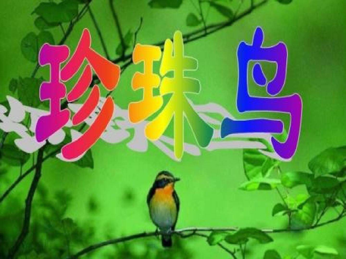 珍珠鸟