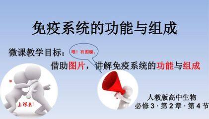 免疫系统的功能与组成