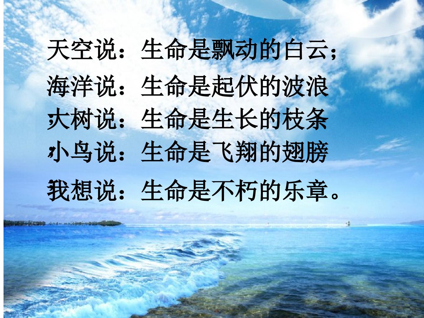 生命     生命