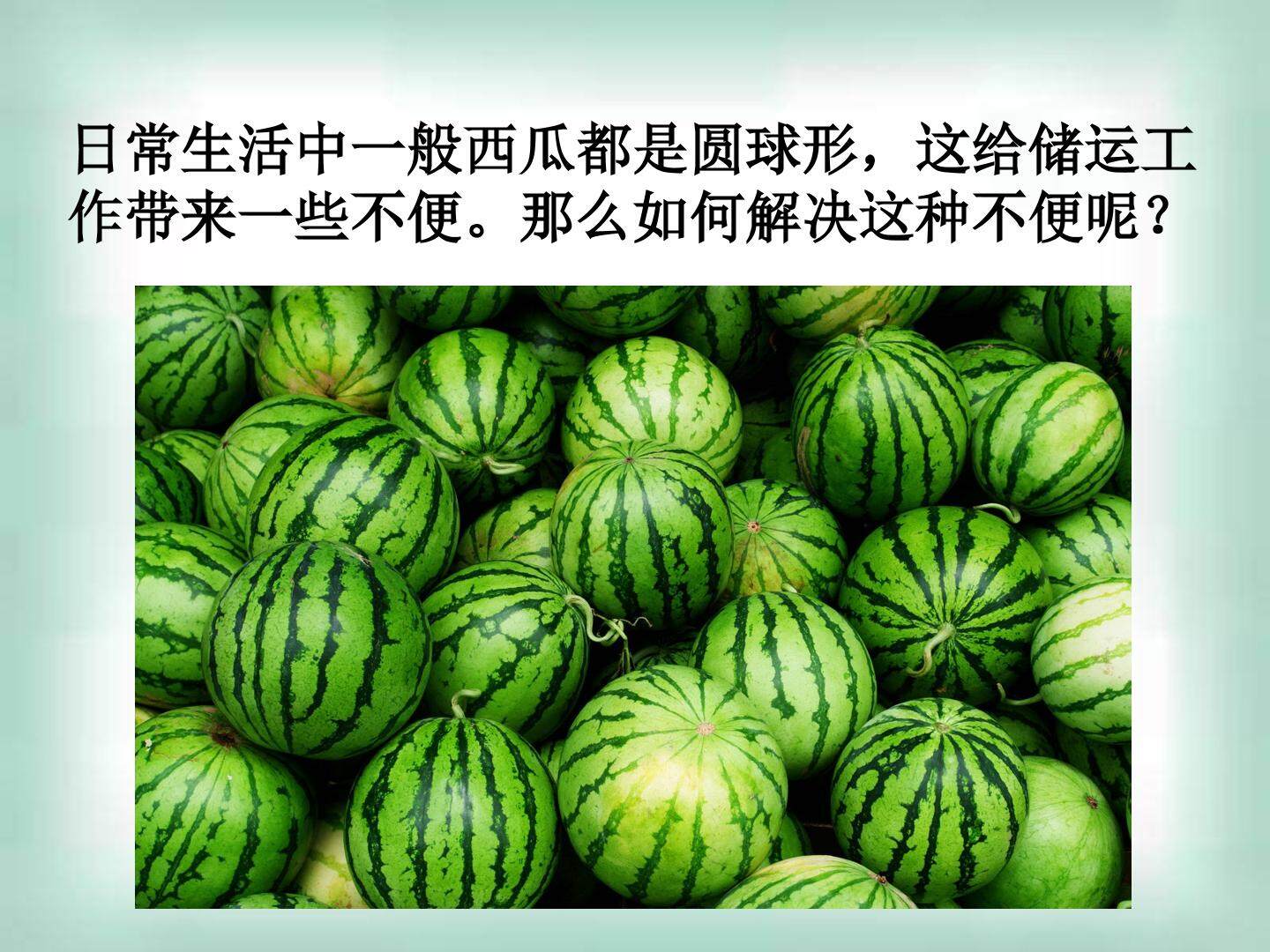 生物变异在育种中的应用