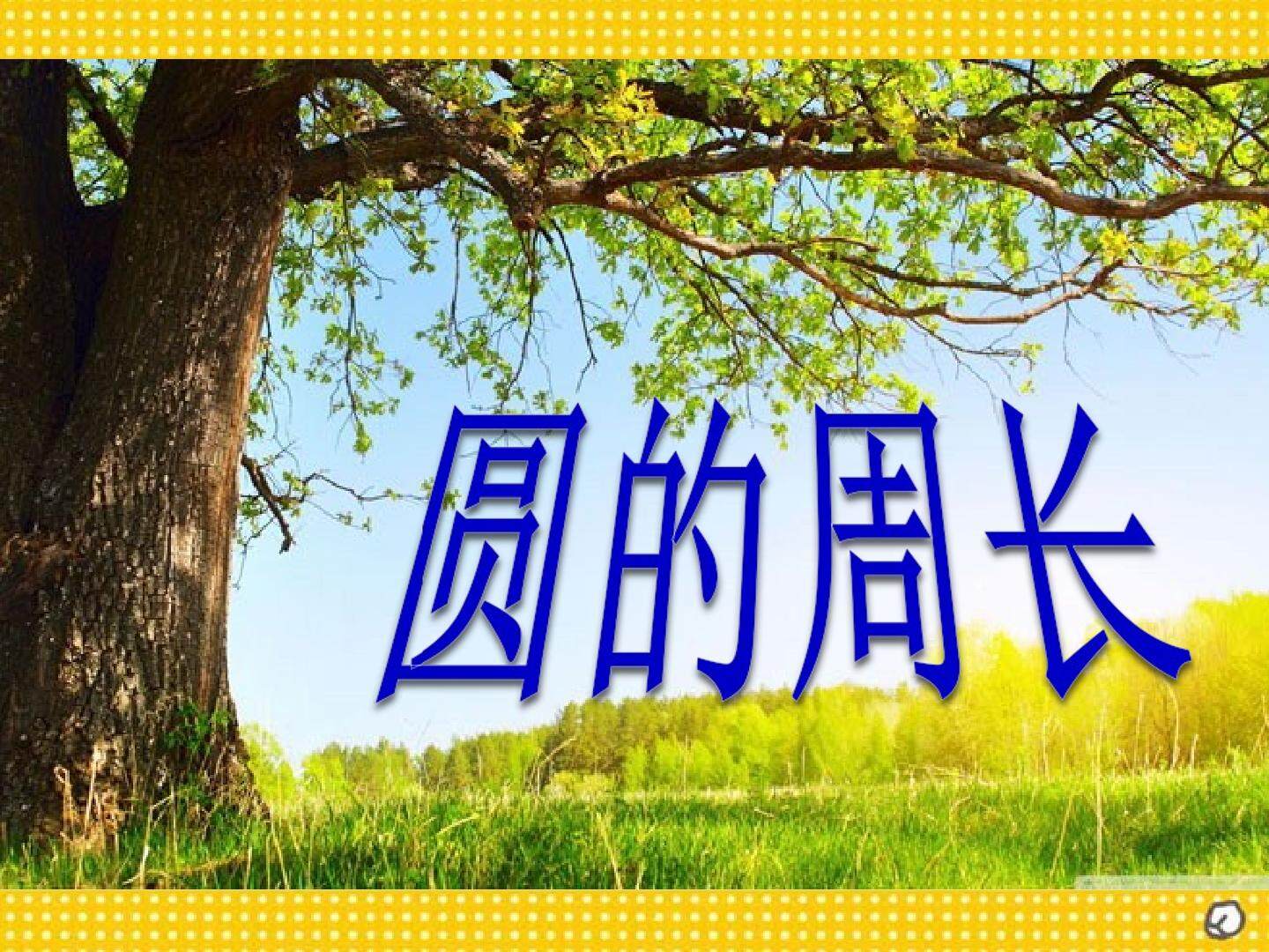 圆的周长