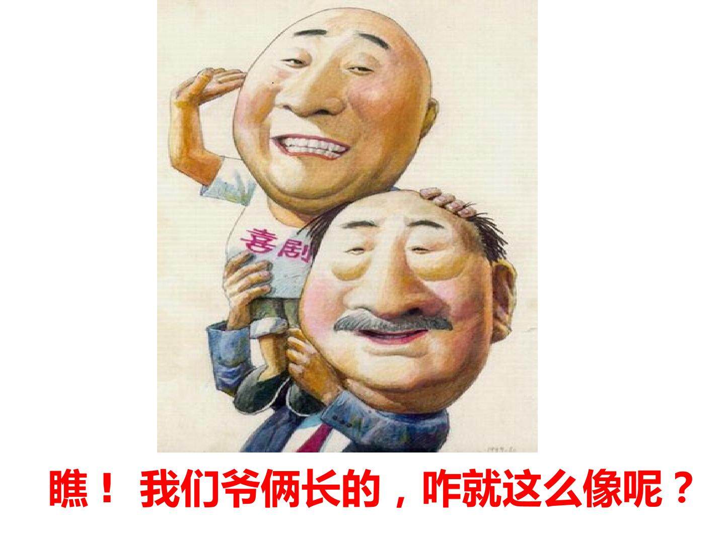 遗传信息的传递
