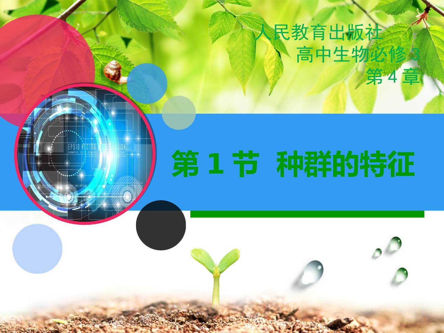 种群的特征