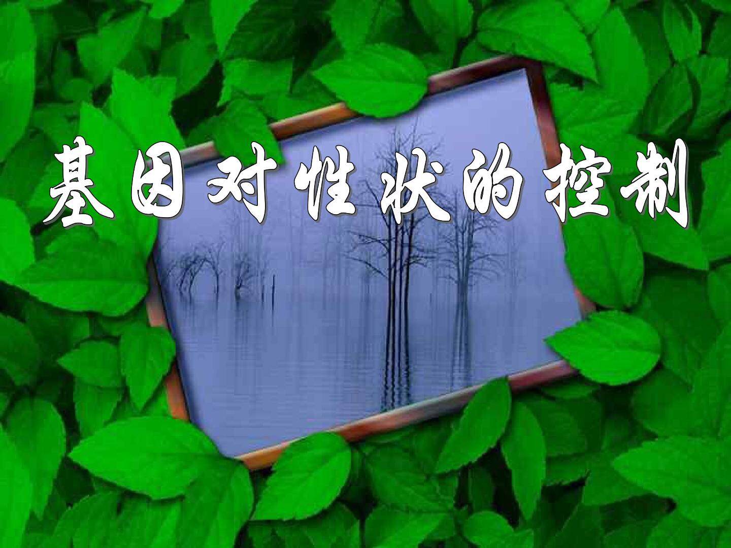 基因对性状的控制