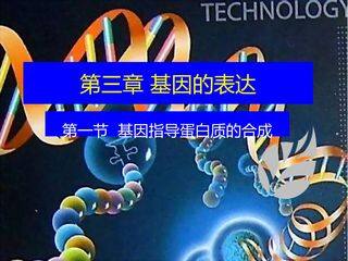 基因指导蛋白质的合成