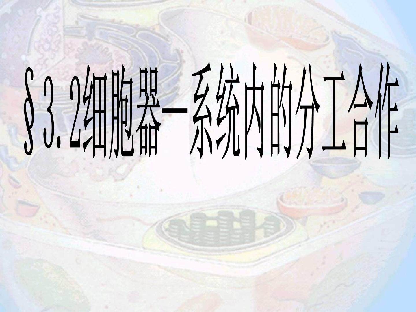 细胞器--系统内的分工合作