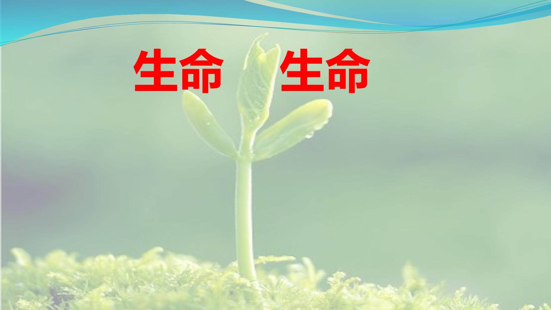 生命 生命