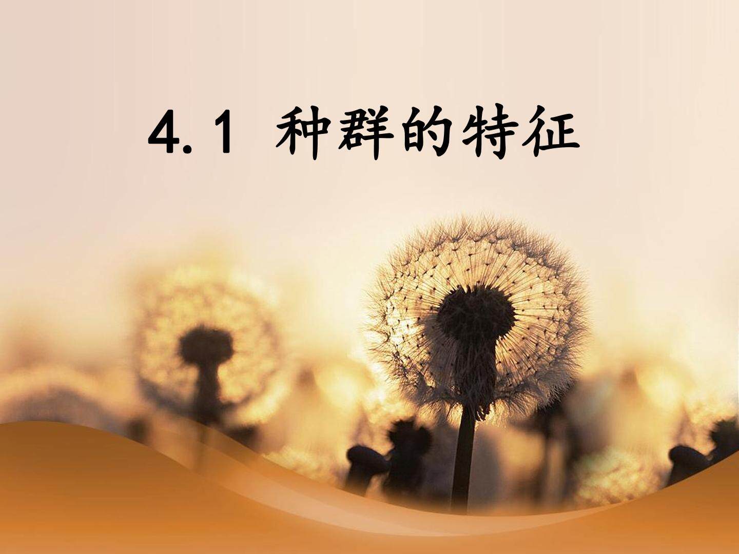 种群的特征