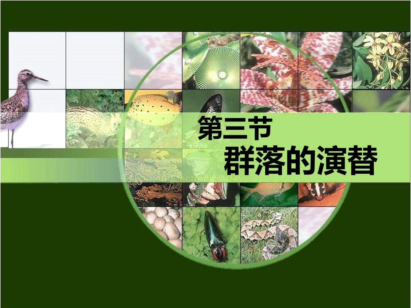 群落的演替