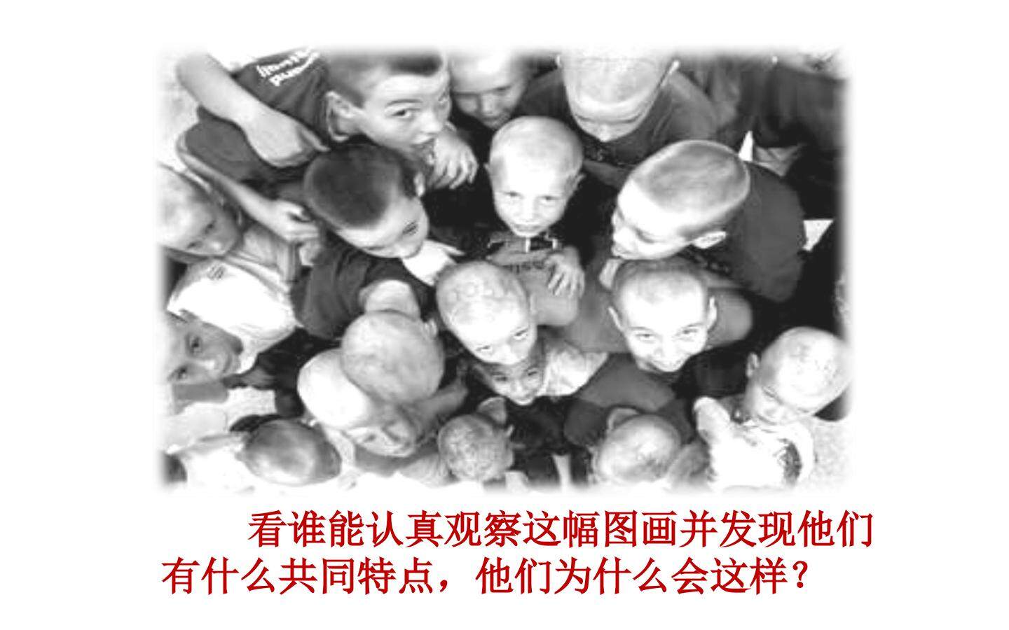 一群光头男孩儿
