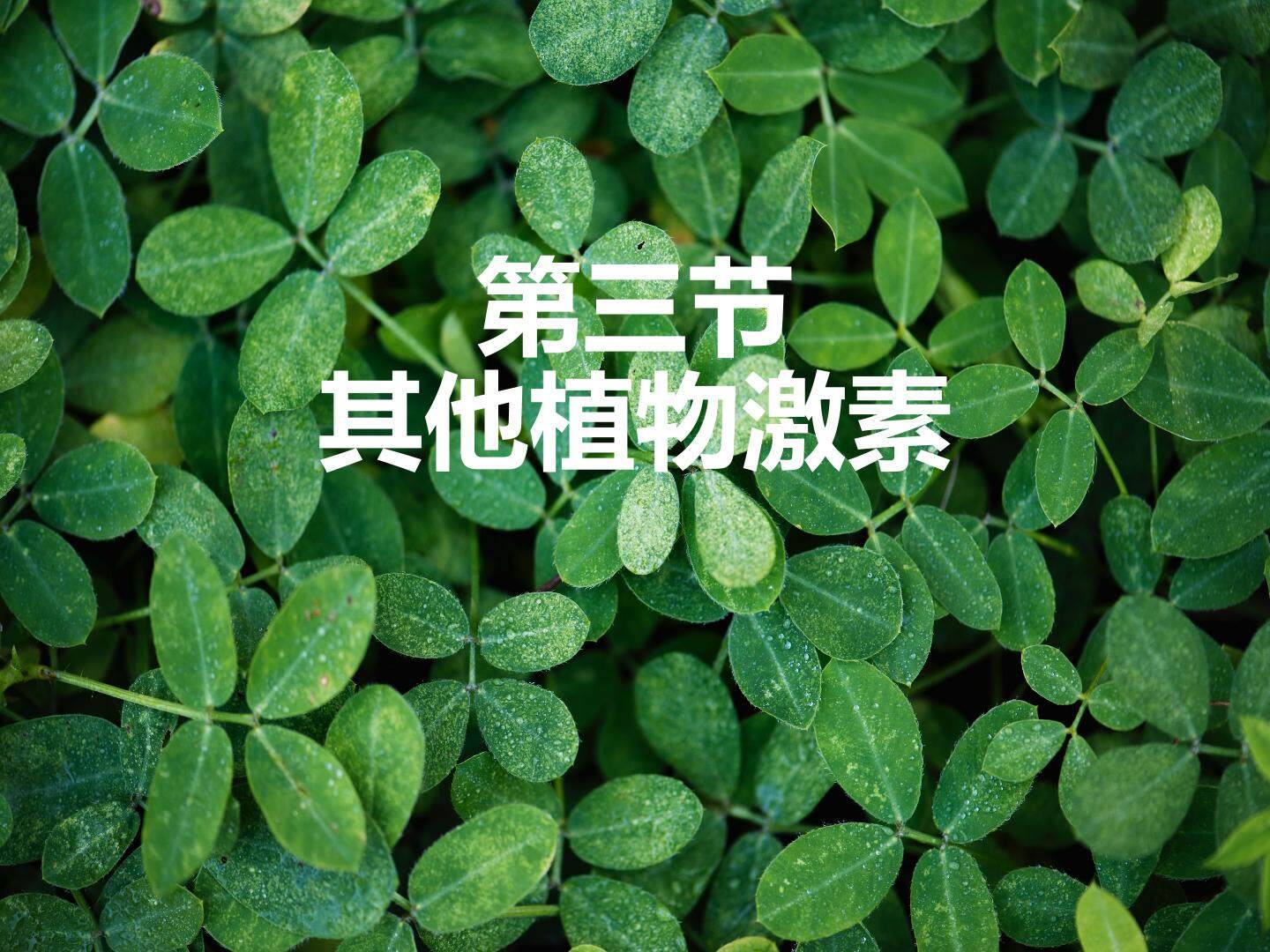其他植物激素