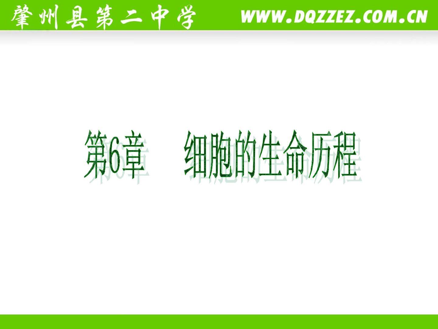 一轮复习课件--细胞的生命历程