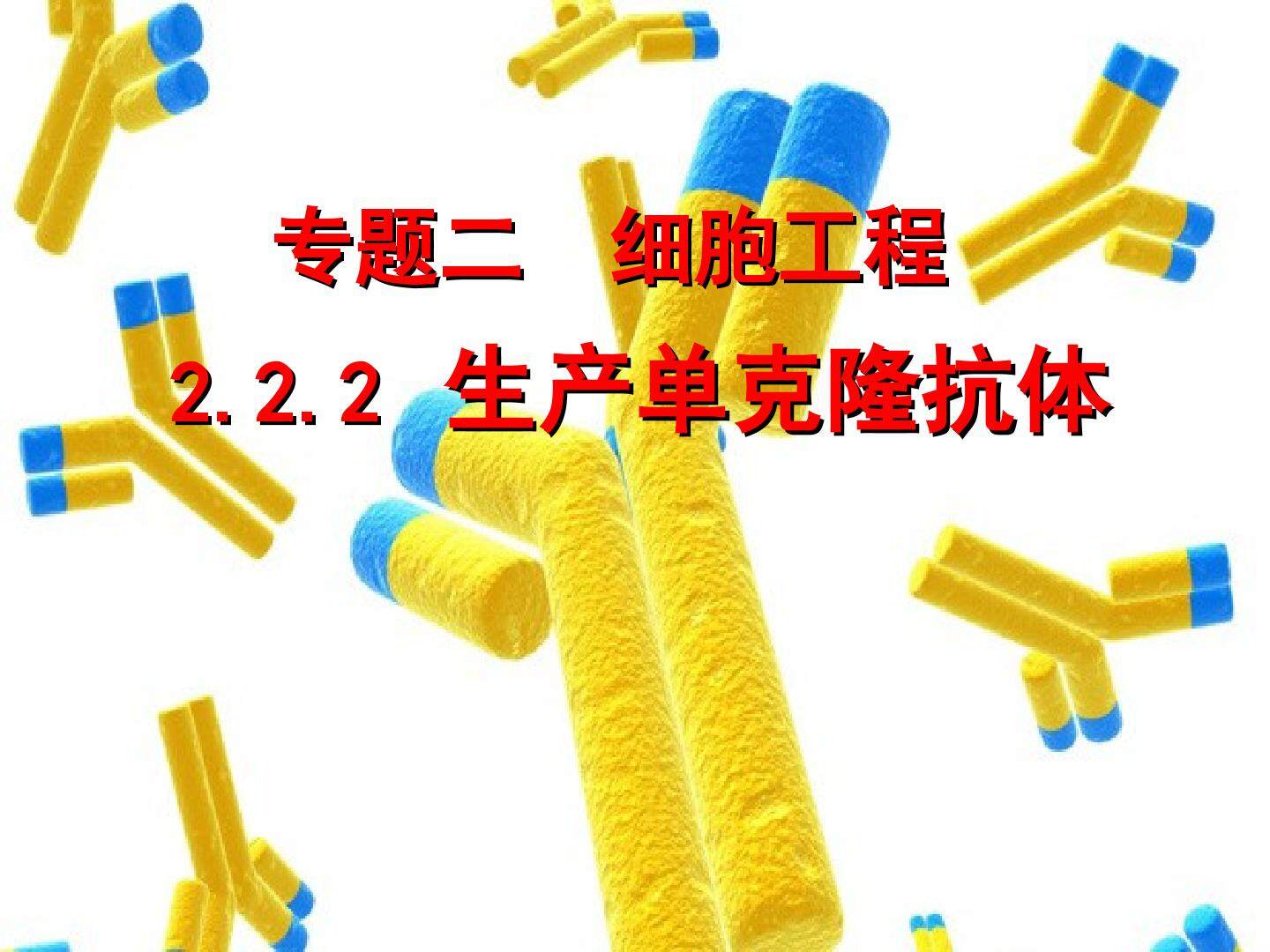 单克隆抗体