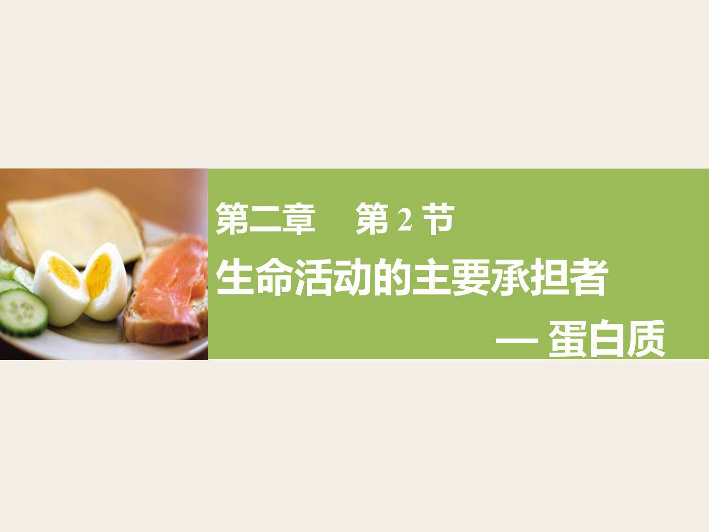 生命活动的主要承担者----蛋白质