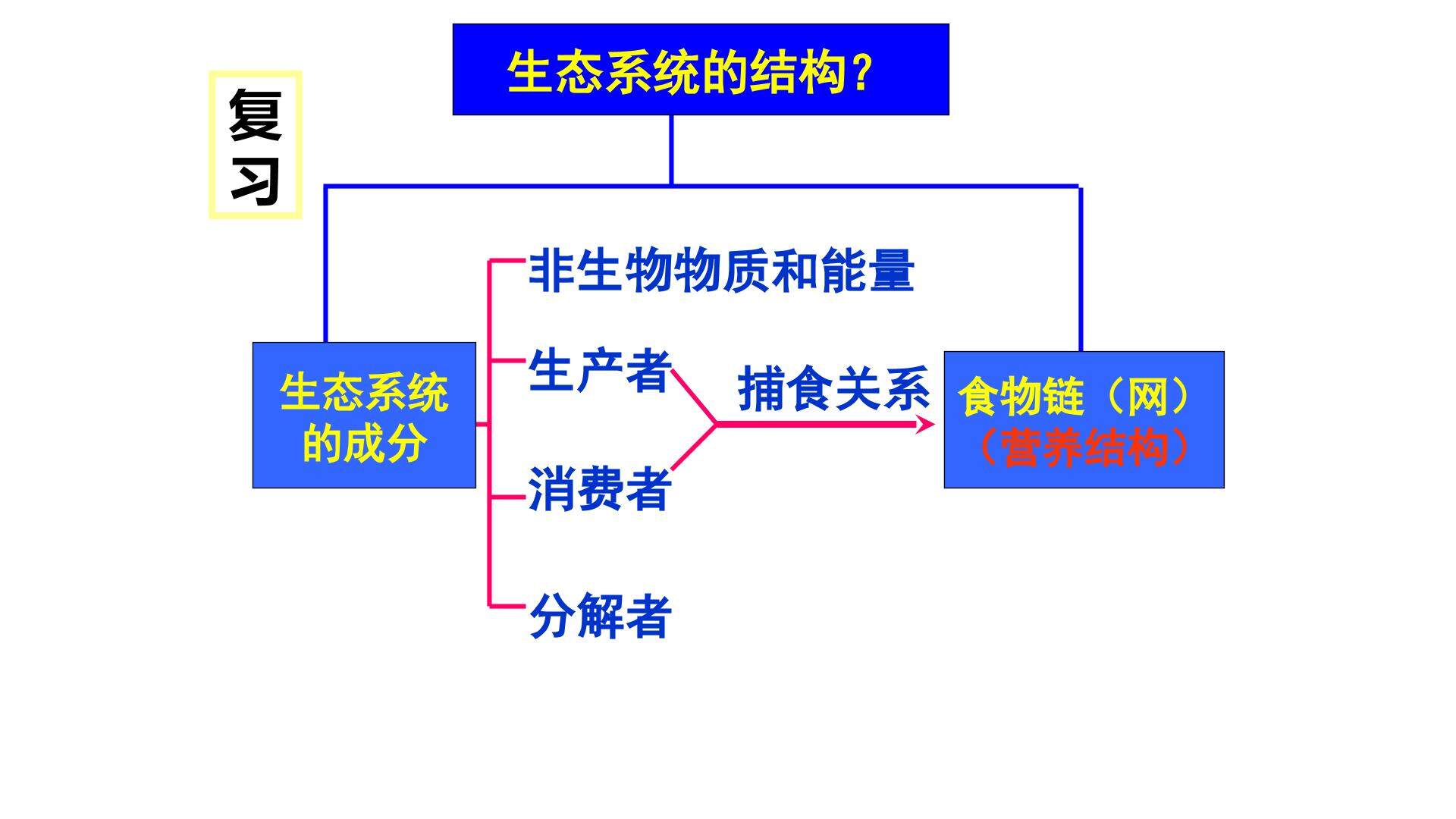 生态系统的能量流动