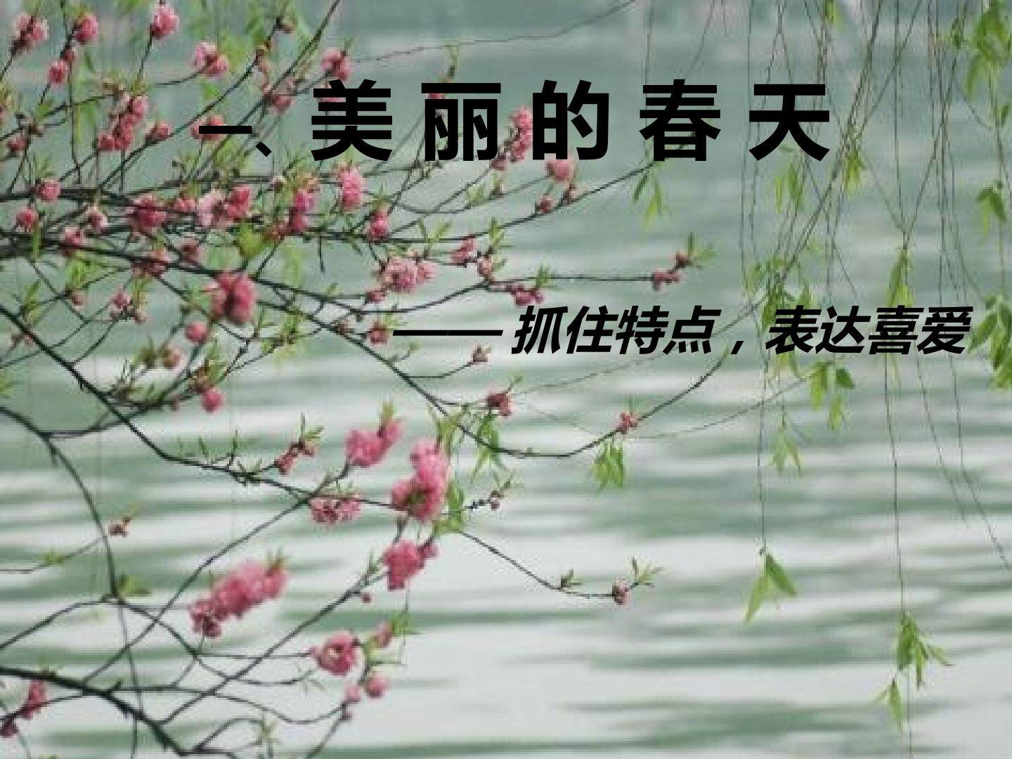 美丽的春天