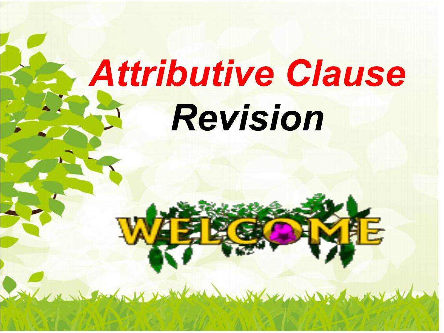 The Attributive Clause Revision