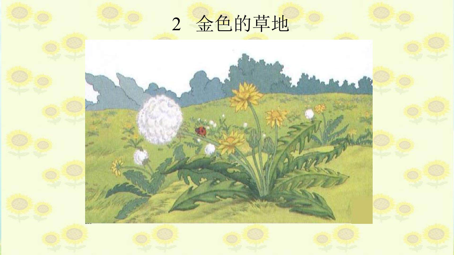 《金色的草地》