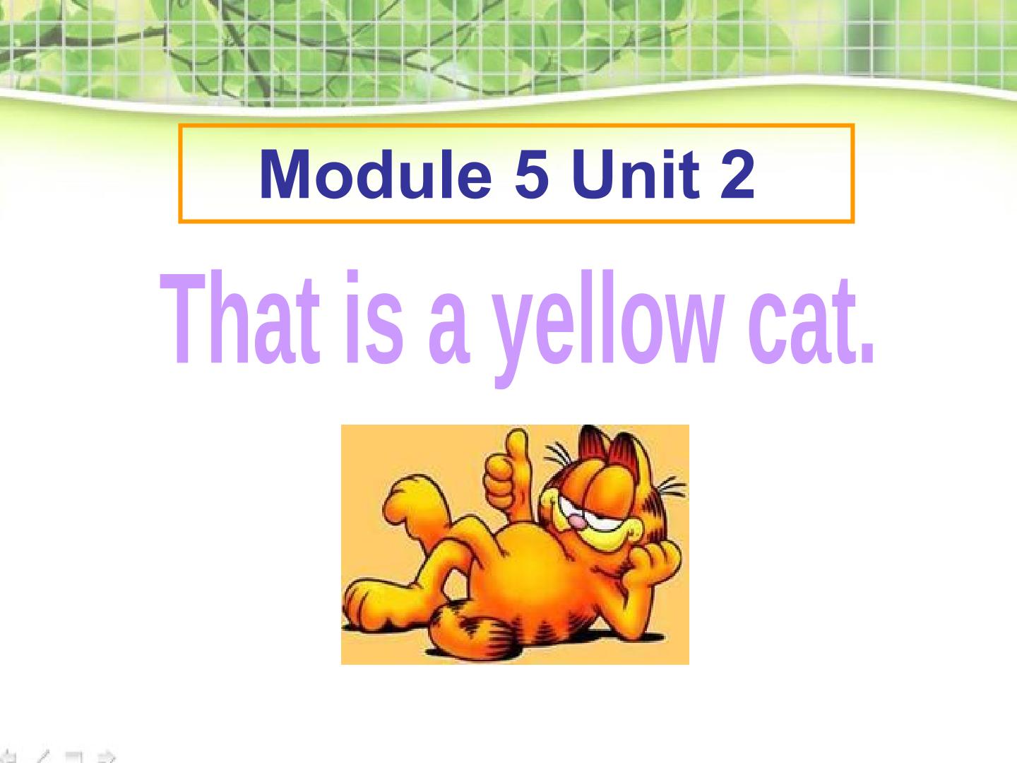 《that is a yellow cat》