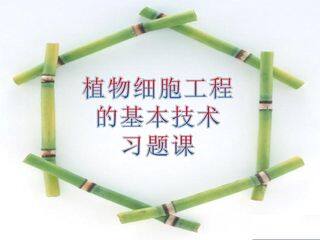 植物细胞工程的基本技术(习题课)