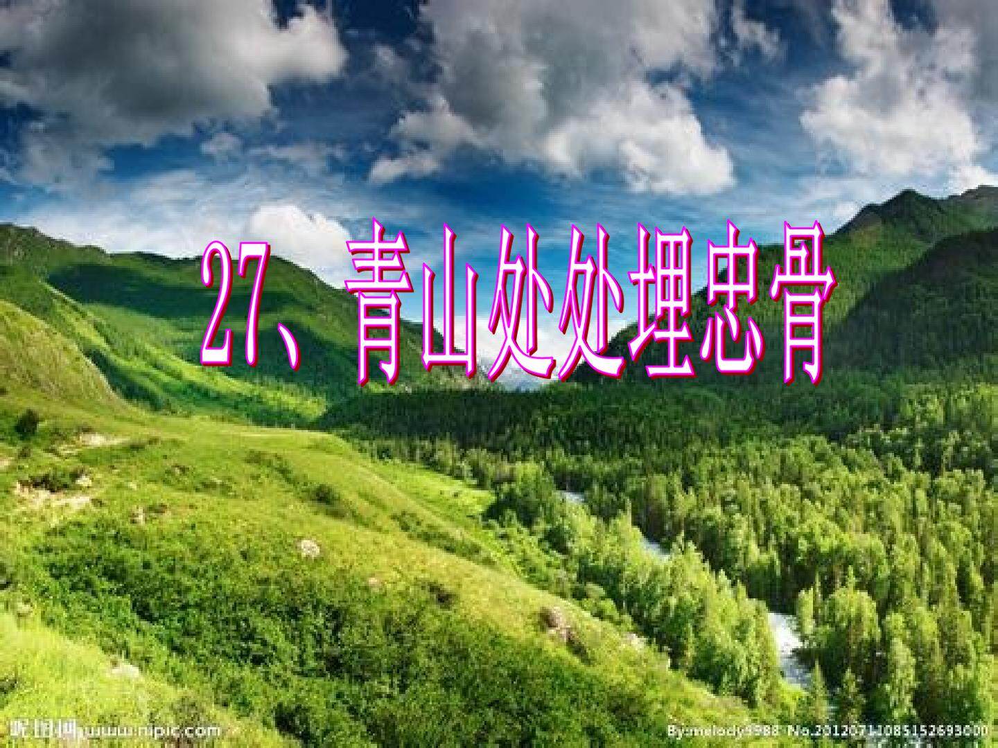 青山处处埋忠骨
