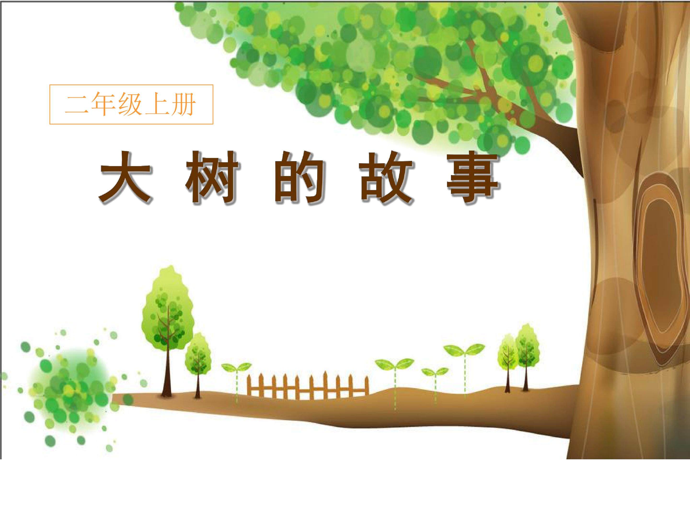 大树的故事