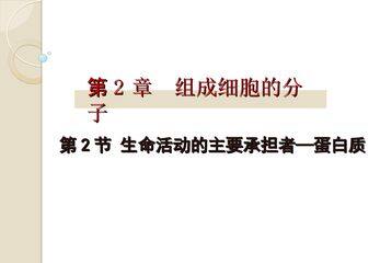 生命活动的主要承担者──蛋白质