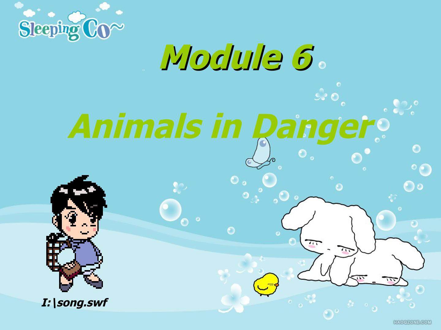 Animals in Danger