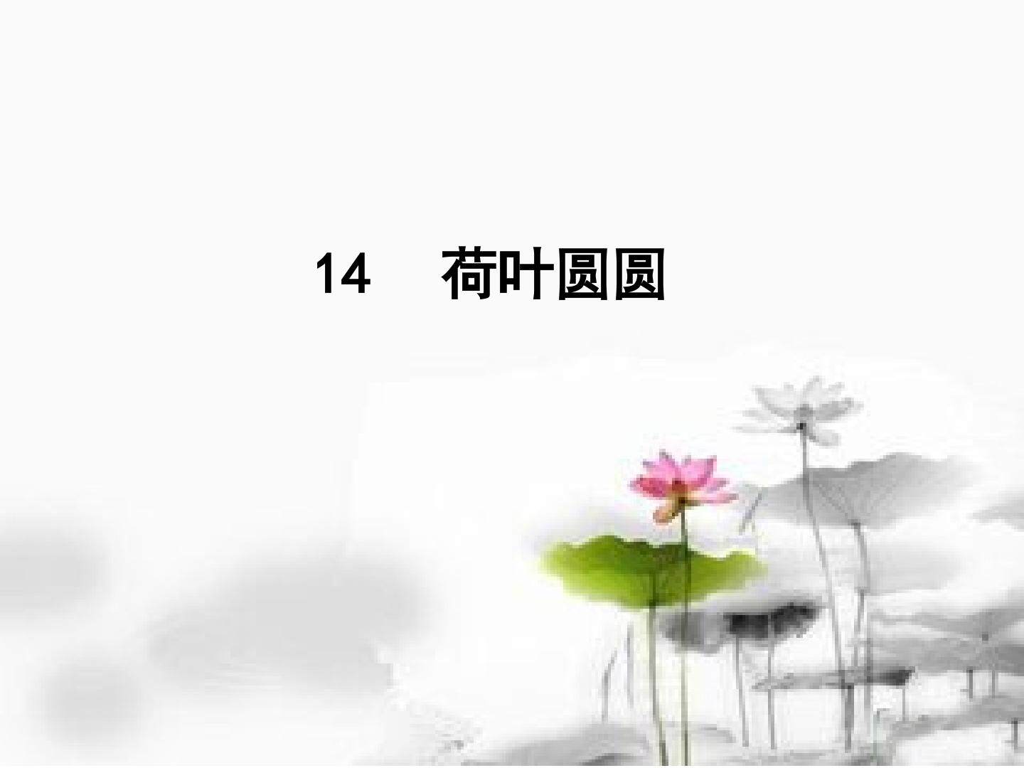 14 荷叶圆圆