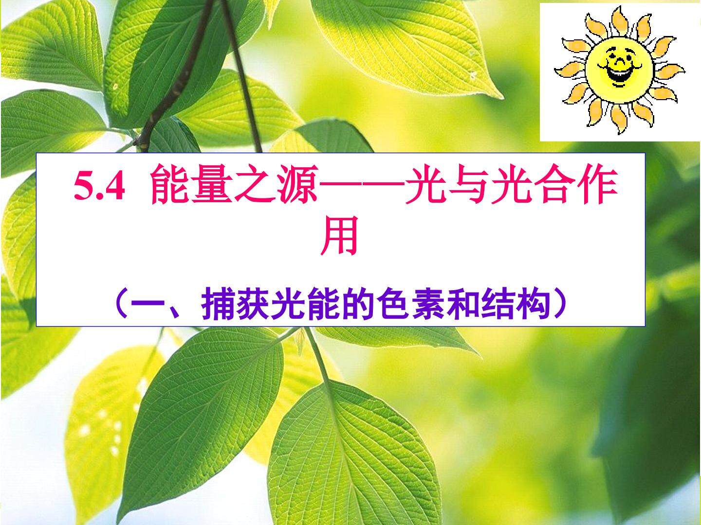 捕获光能的色素