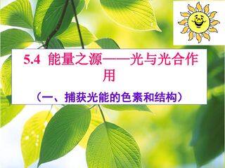 捕获光能的色素