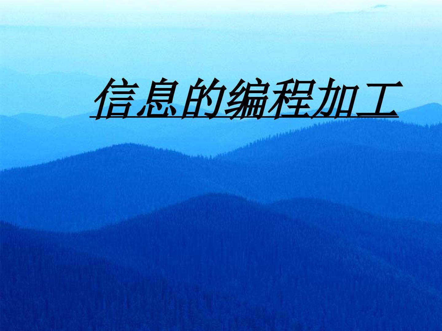 信息的编程加工