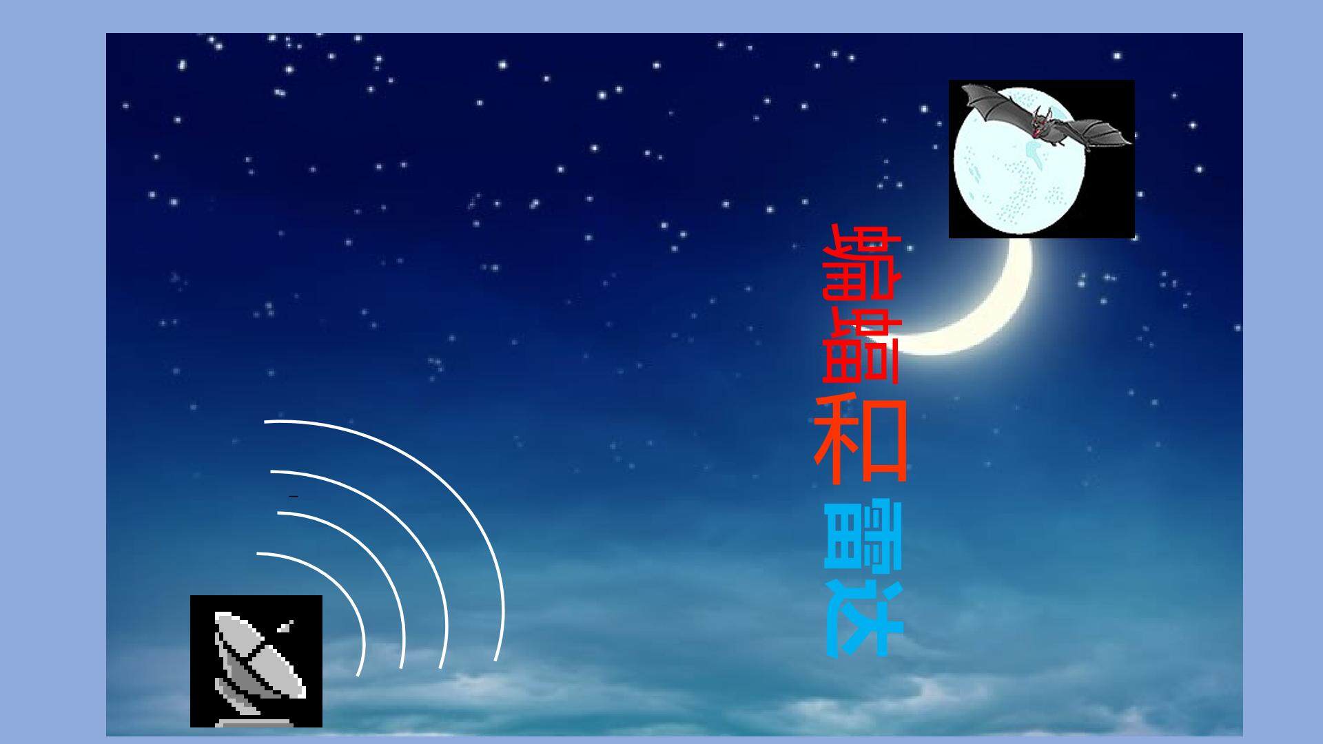 蝙蝠和雷达