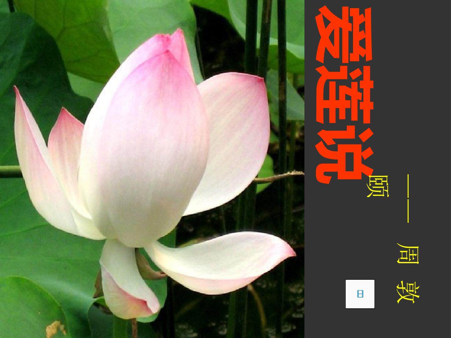爱莲说